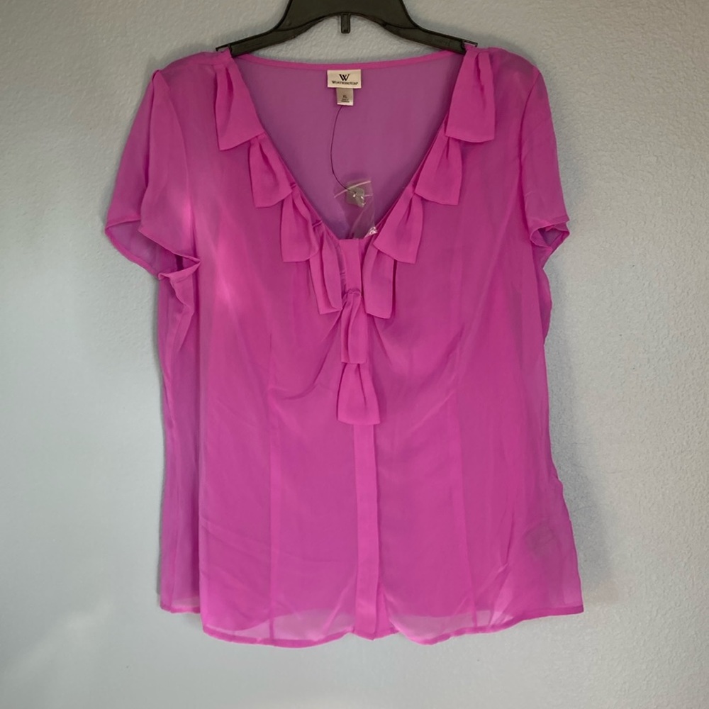 Women's Pink Sheer Blouse